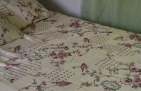 Palácio do Príncipe - Foto 14