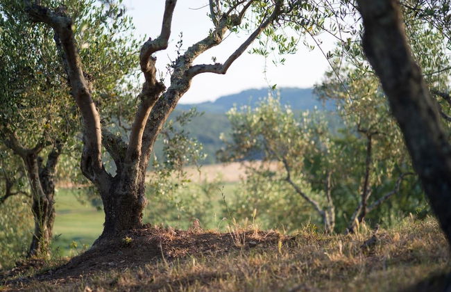 Agriturismo Poggio Corbello - Foto 25