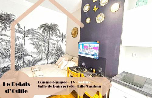 LeRelaisdOdile - Suite Studios Confort - Idéal PRO & Couple - LILLE VAUBAN - Foto 38