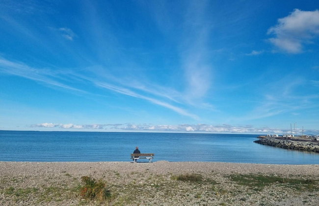 3 Person Holiday Home in Lottorp-by Traum - Foto 15