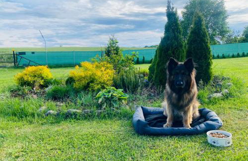 Domek bez adresu- tu nikt Cię nie znajdzie - Foto 14