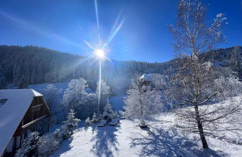 Schwarzwald-Hotel Kraeutle - Foto 7