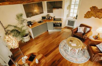 Chateau de la Preuille Gites - Foto 51