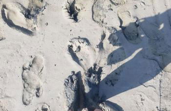 Cœurs en Bay - Maison romantique avec parking et terrasse - Foto 22