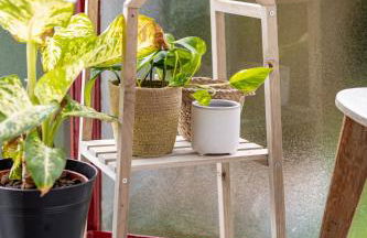 Au cœur des Remparts de Guérande: logement pour 4 - Foto 6