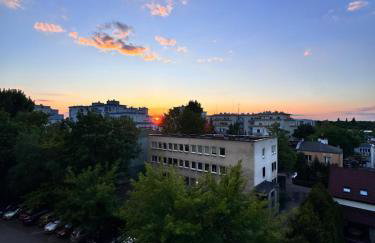 Forest Apart V - Foto 14