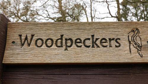Woodpeckers - Foto 4