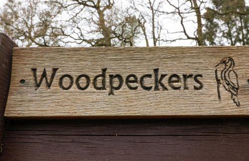 Woodpeckers - Photo 4