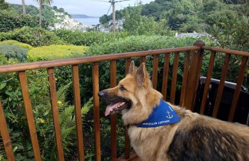 dog friendly nancecliff cottages - Foto 40