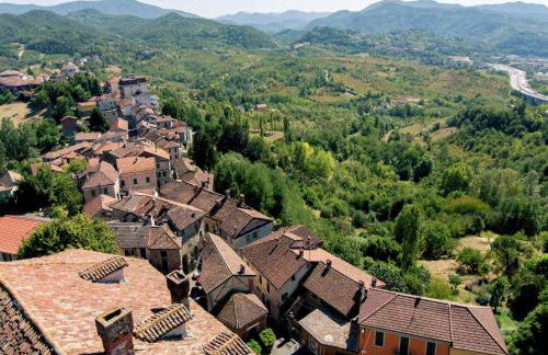 Guest House in Monferrato With Wine Tasting - Foto 34