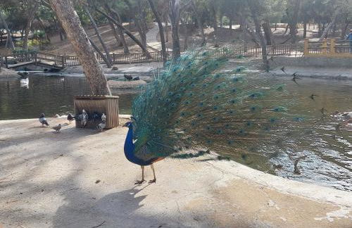 Apartament Casa Milo playa Los Locos - Foto 36