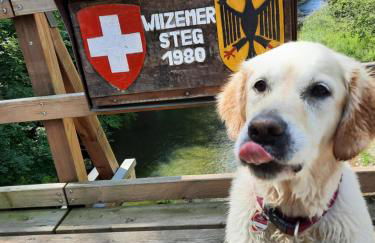 Ferienhaus am Schluchtensteig - Foto 42