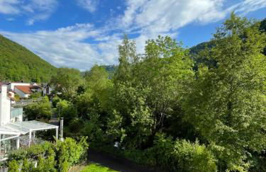 Blickfang Lichtenstein - Foto 14