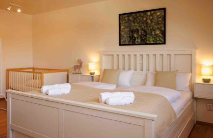 Ferienwohnung Schwarzwaldnest 2 - black forest nest 2, im Herzen von Emmendingen - Foto 2