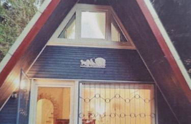 Abenteuerurlaub im Tannenwald - Photo 1