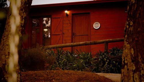 Arrabia Bunga Payva - Foto 2