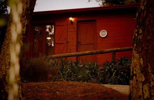 Arrabia Bunga Payva - Foto 2