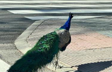 AR Movistar Arena,Wizink Piso céntrico y moderno - Foto 24