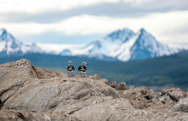 Patagonia Home Center - Foto 27