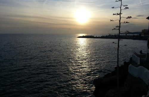 Tot Gaviota - Foto 32