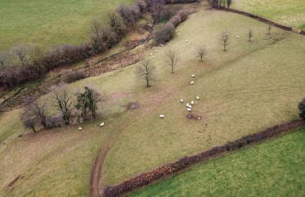 The Piggery - Foto 11