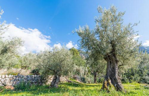 S'Olivaret - Foto 46