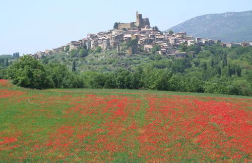 La Teulera - Foto 24