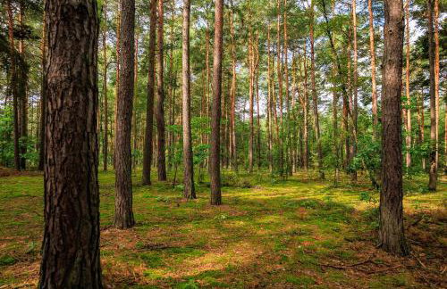 Zielona Zagroda Agnieszka Połeć - Foto 26