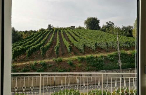 Feudo di Castelmozzo - Foto 21