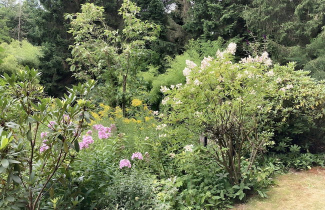 Arendonk Pondside Chalet - Foto 29