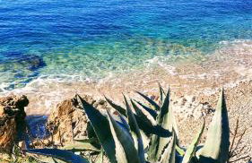 AriaDeMar - Photo 30