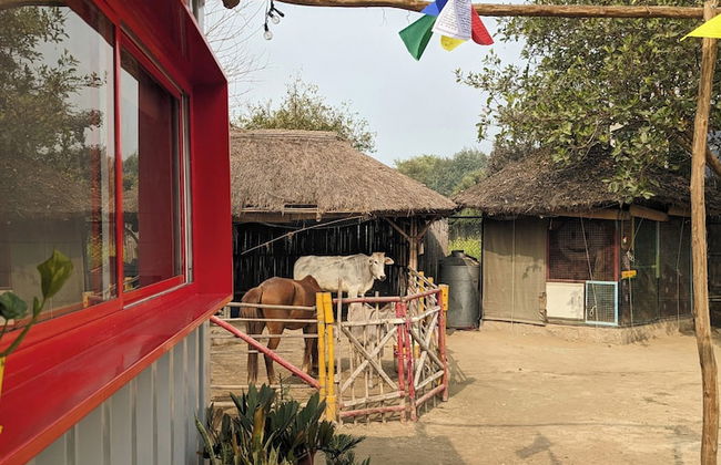 Tuk Tuk Gilhari Noida - Foto 27