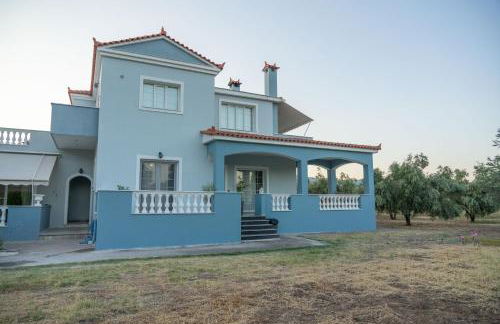 Kalloni Olive House - Foto 12