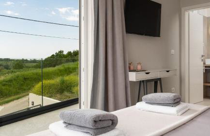 Modern villa Venta with jacuzzi and pool in Buje - Foto 25