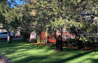 Tahoe Cottage perfect for couples and outdoor enthusiasts - Foto 31