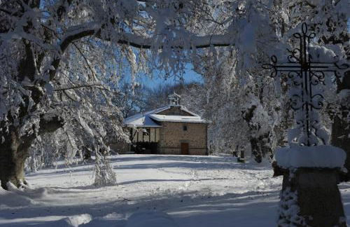 Caserio Arrigorri excelente ubicación jardín con BBQ perfecto para grupos - Foto 64