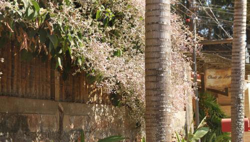 Chalé do Lago - Foto 4