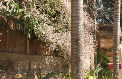 Chalé do Lago - Foto 4