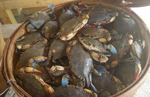 Larry's Love, Early check-in, late check-out! - Photo 27