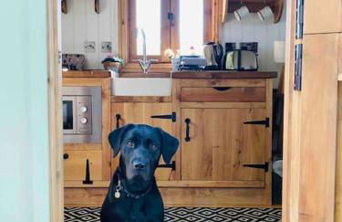 The Hideaway Shepherd’s Hut, Alston, Cumbria - Foto 37