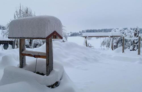 Trollenhof im Allgäu - Ferienwohnungen Säuling - Foto 50
