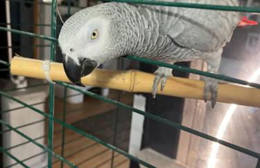 Ferienwohnung Heyne - Foto 15