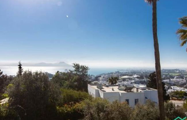 Dar Sophia La Plus Belle vue de Sidi Bou Said - Foto 1