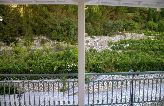 Estate Dafnopanagia - Foto 21