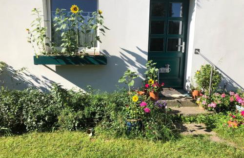 Gartenblick im Schwalbennest - Foto 33