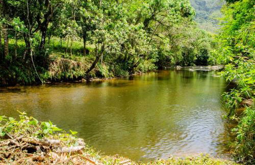 Fazenda Montanhes - Foto 57