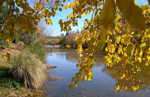Casa Hipolito - Foto 40