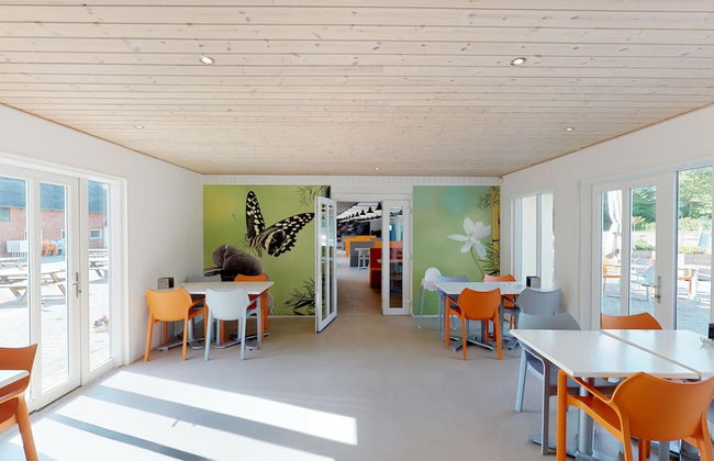 Jelling Familie Camping - Foto 64