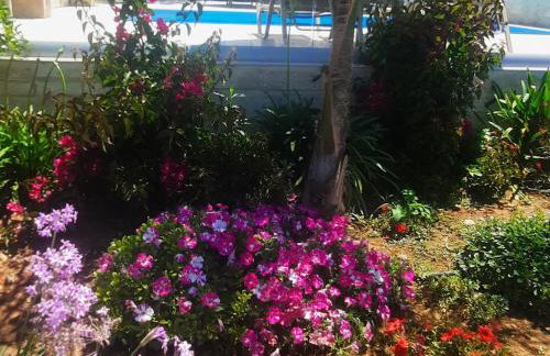 Amare suite - Foto 70