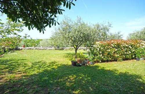 Studio apartment Rimanić - Foto 17